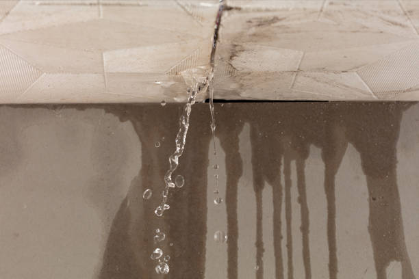 Professional Structural Drying technician working in Mount Olive, NC